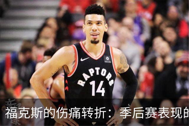 福克斯的伤痛转折：季后赛表现的两面性分析